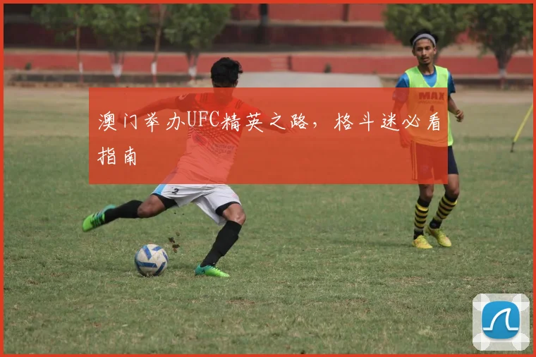 澳门举办UFC精英之路，格斗迷必看指南