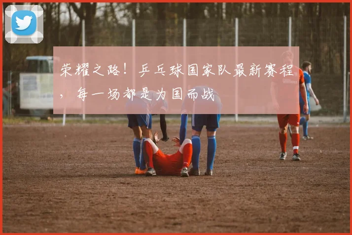 荣耀之路！乒乓球国家队最新赛程，每一场都是为国而战