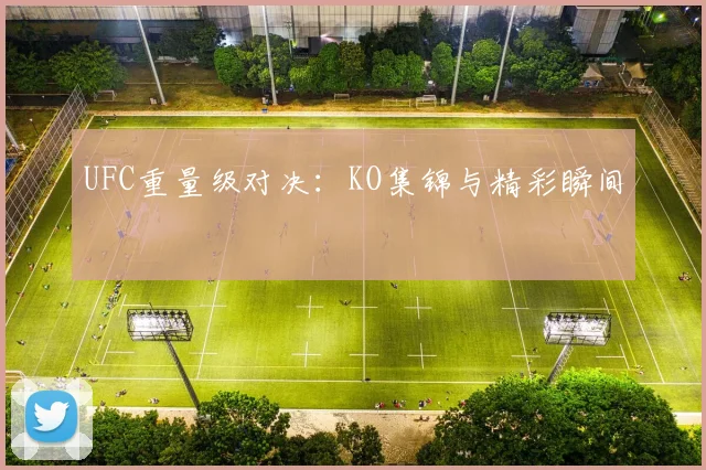 UFC重量级对决：KO集锦与精彩瞬间