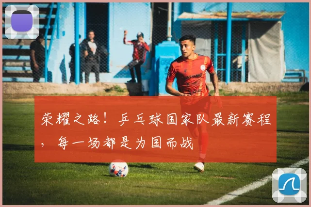 荣耀之路！乒乓球国家队最新赛程，每一场都是为国而战