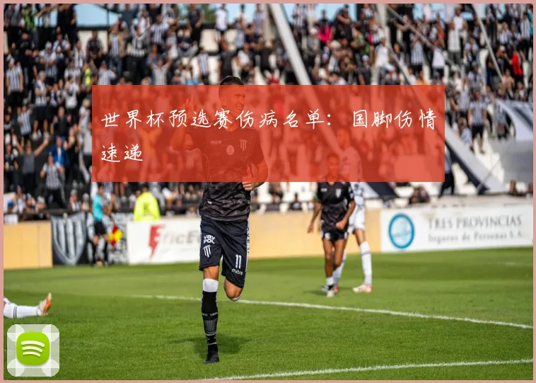 世界杯预选赛伤病名单：国脚伤情速递