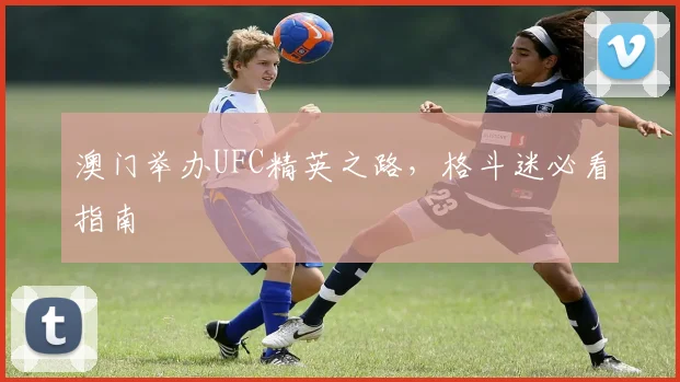 澳门举办UFC精英之路，格斗迷必看指南