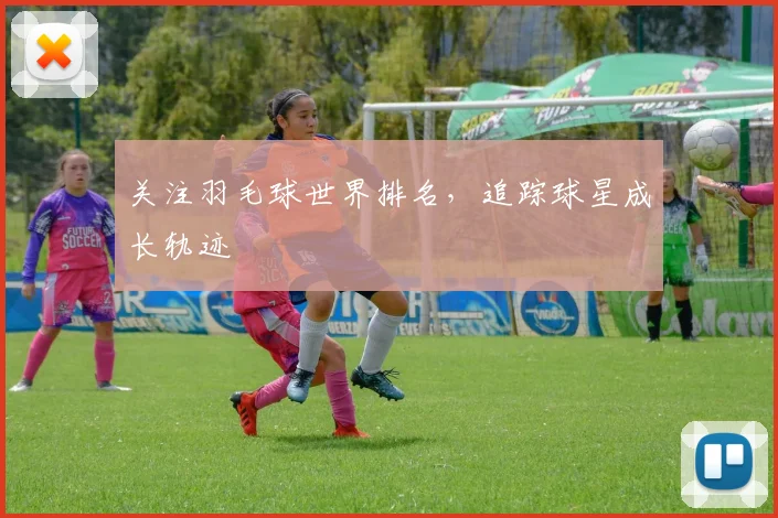 关注羽毛球世界排名，追踪球星成长轨迹