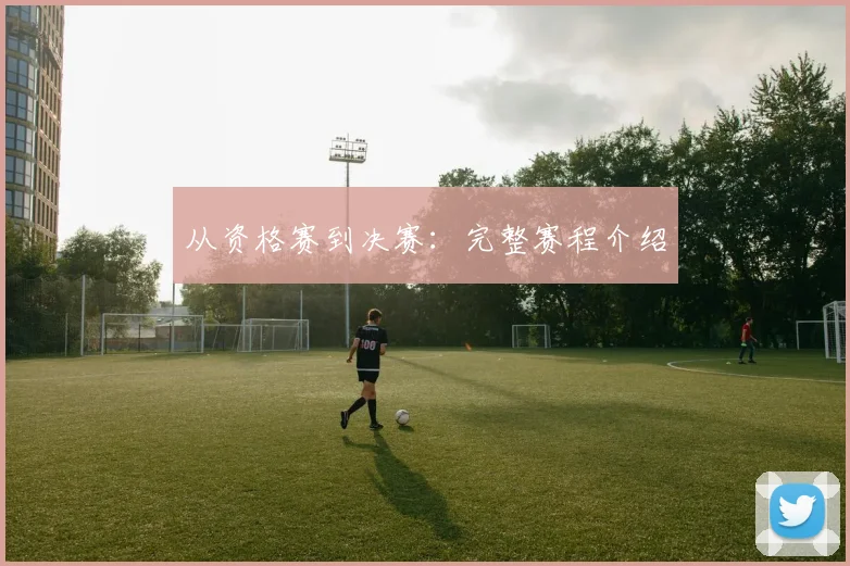 从资格赛到决赛：完整赛程介绍