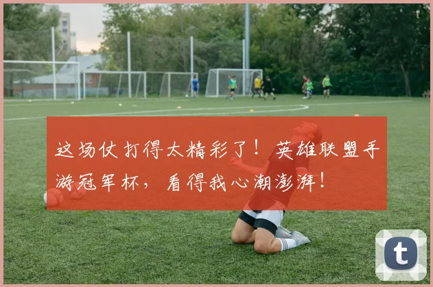 这场仗打得太精彩了！英雄联盟手游冠军杯，看得我心潮澎湃！