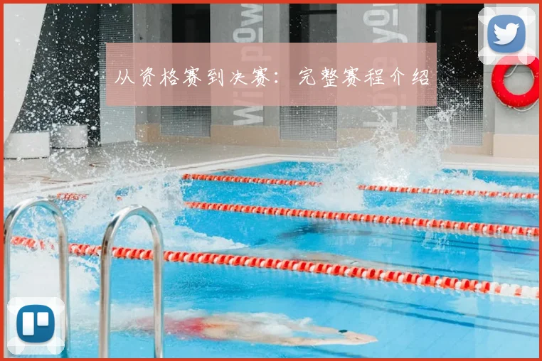 从资格赛到决赛：完整赛程介绍